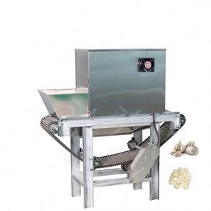Máquina peladora de ajo, línea de producción de pelado de ajo - Product Image 6