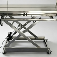 Table d'opération électrique pour animaux, table de manipulation vétérinaire en acier inoxydable pour clinique canino-felinoïde