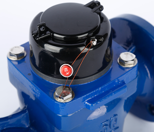 Có thể tháo rời công nghiệp mét nước nhà cung cấp R160 5 "6" 8 "tuabin loại ngang mặt bích Đồng hồ nước - Product Image 6