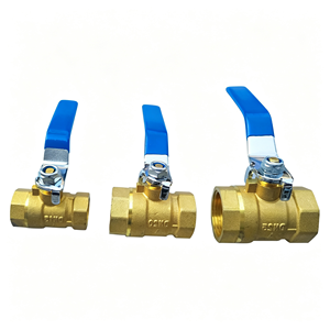 Vanne à boisseau sphérique monobloc en acier inoxydable SS304, filetage femelle NPT, pour coupure d'eau, résistante à la corrosion, étanche, avec levier, utilisation complète - Product Image 1