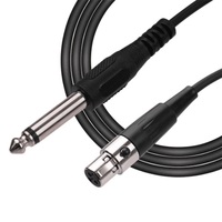 Câble adaptateur 1/4 TRS 6,35 mm femelle vers Mini XLR mâle, stéréo, équilibré, nickelé, gaine PVC, sortie audio-vidéo pour voiture, HDTV, ordinateur