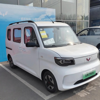 Wuling Zhiguang EV, Auto de Pasajeros, Precio Económico, Modelo Estándar, Vehículo de Nueva Energía, Volante a la Derecha, Vehículo Eléctrico