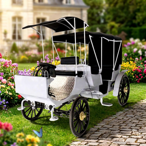Voiture électrique de tourisme personnalisée noire et blanche, prix d'usine, vente en gros, pour parcs à thème, mariages et voyages - Product Image 1