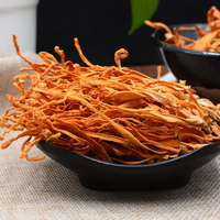 Cordyceps Militaris : Meilleur Prix, Haute Teneur en Cordycepine, Champignons Séchés Biologiques à Grande Tête de Spore