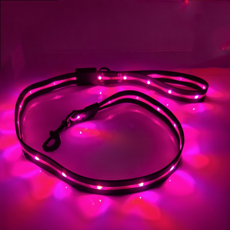 DSL15 LED Dog Leash - Rechargeable, Reflective Nylon Pet Lead for Night Safety