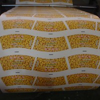 Papier Kraft Imperméable Enduit PE Simple Face en Pâte de Bois, Qualité Alimentaire, pour Emballage de Café et Aliments, Fabriqué en Chine