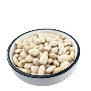 Medium Size White Pea Beans Long Shape White Kidney Beans