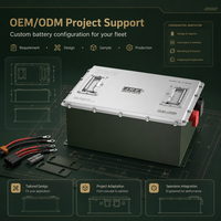 Batterie de remplacement pour voiturette de golf MINI LiFePO4 (36V/48V/72V 60AH 105AH 200AH 300AH) avec plus de 6000 cycles de charge, chargeur rapide et application intelligente