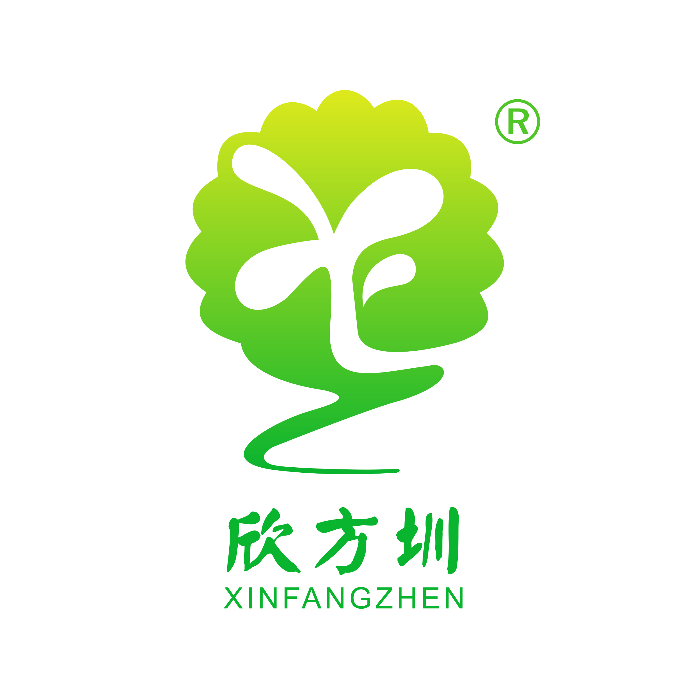 Shenzhen Xinfangzhen Technology Co., Ltd. logo