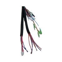 Harnais de câblage complet universel pour motos - Utilisation électronique haute tension, longueur personnalisable, cuivre étamé
