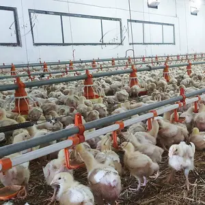 Hochwertiges modernes Fertighaus für landwirtschaft liche Geräte für Tiere Broiler