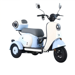 High Power Lange Afstand Dual Motor Elektrische Levering Driewieler <span class=keywords><strong>3</strong></span> Wiel E Cargo Trike Zand Sneeuw Fat Band Voor Volwassenen Dual Surfen - Product Image 1