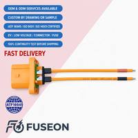 IATF16949 ISO9001 Certified High Voltage Wire Harness 600V XLPE Shielded for New Energy Vehicle OEM