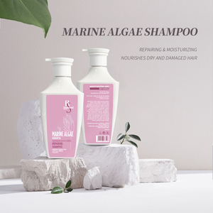 OEM ODM Private Label <span class=keywords><strong>Shampoo</strong></span> biologico tinto per capelli riparazione permanente <span class=keywords><strong>Shampoo</strong></span> alle alghe per la cura dei capelli lisci - Product Image 3
