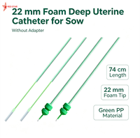 Nouveau Cathéter utérin profond en mousse de 22 mm pour insémination artificielle jetable, sans adaptateur, pour truies - Équipement d'IA pour porcs