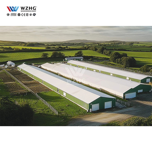 Hangar à structure en acier pour les fermes avicoles Solutions d'infrastructure agricole rentables - Product Image 1