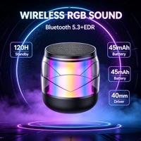 Haut-parleur portable RGB sans fil 5.3 avec mini-haut-parleur de 40 mm, lecteur de carte TF, rechargeable Type-C, étanche IPX2 et télécommande