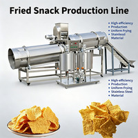 Friggitrice Commerciale di Grande Capacità per Snack Fritti 2D 3D, Pellet, Fryums, Bugles, Slanty, Nimko, Riscaldamento a Vapore e Gas