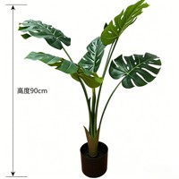 Feuillage orné à motifs de carapace de tortue préservée, aux tons terreux marbrés, pour accentuer un terrarium exotique.