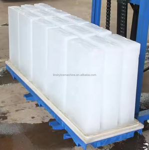 Machine durable de fabricant de bloc de glace de capacité quotidienne de 1 tonne pour le besoin de petite usine de glace - Product Image 6