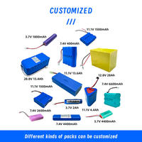 Batterie 3.6V 9800mAh 1S2P pour produits électriques, équipements de conversion de puissance, équipements de contrôle électrique