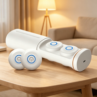Appareil de Moxibustion Sans Fumée OEM ODM Personnalisé, Boîte à Bâtonnets de Moxa Électriques Rechargeables pour Usage Domestique
