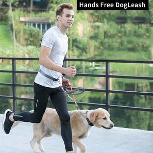 Collier de chaîne en Nylon réfléchissant pour chien, ajustable, avec chaîne en métal, pour la marche du chien, offre spéciale, - Product Image 6