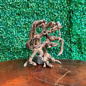 Vietnam raíz Driftwood venta al por mayor acuario decoración Driftwood bonsai con precio competitivo, M101 - Product Image 3