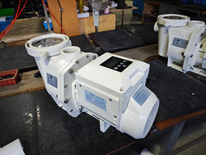 Bomba de agua de velocidad variable de alto rendimiento Pentair de 220V y 2HP de bajo consumo - Product Image 3