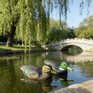 Simulation de chasse en plein air : canard flottant - Product Image 5