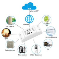 Mini Interruptor Inteligente WiFi TUYA Smart Life 10A, Módulo Zigbee, Relé Interruptor, Disyuntor WiFi, Control Remoto de Luz para Alexa, Google Smart Home
