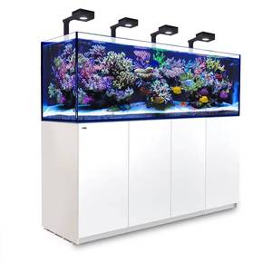 <span class=keywords><strong>Acquario</strong></span> rettangolare in vetro ultra-trasparente Red Sea Reef MAXG3+ silenzioso e plug-and-play per acquari marini da soggiorno con 3 anni <span class=keywords><strong>di</strong></span> garanzia - Product Image 1