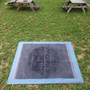 Alfombrillas Absorbentes para Orina de Mascotas, de Carbón Activado, 45x60cm, Alta Absorbencia - Product Image 1
