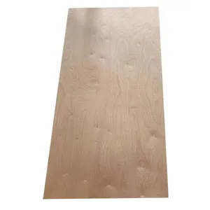 Atacado laminado bacia cdx pinha pássaro noz cypress pássaro 3mm 4mm 12mm 18mm 4x8 comercial