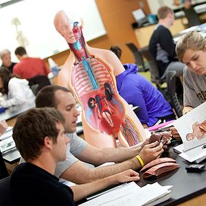 Modelo de <span class=keywords><strong>cuerpo</strong></span> <span class=keywords><strong>humano</strong></span> Torso Anatomy Doll 15 Partes extraíbles esqueleto visceral cerebro con Manual detallado altura de 10,5 pulgadas - Product Image 4