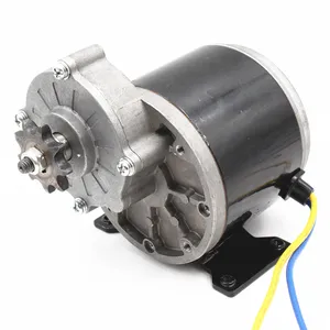 101mm small dc motor with worm gear 12v 24v 200w 250w 300W dc scooter motor