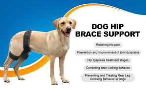 Ортопедический бандаж для собак при дисплазии тазобедренного сустава – современный полиэстер для облегчения боли, профилактики и защиты тазобедренного сустава - Product Image 5