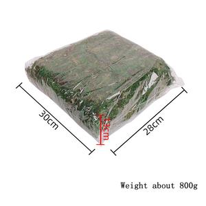 Muschio Verde Naturale Essiccato all'Ingrosso per <span class=keywords><strong>Vasi</strong></span> di <span class=keywords><strong>Orchidee</strong></span> - Product Image 3