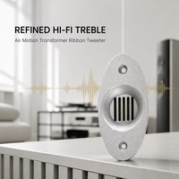 Samtronic AMT Air Motion Transformer Planar Ribbon Tweeter Isodynamic AVT Speaker Mobil DIY Sistem HiFi Home Theater