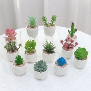 กระถางสีขาวปลูกพืชเทียมขนาดเล็กสำหรับตกแต่งโต๊ะในบ้าน - Product Image 4