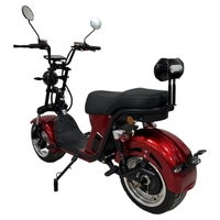 Scooter Eléctrico de Dos Ruedas sin Escobillas de 2000 W, 10 Pulgadas, Batería de Litio de 20 Ah/40 Ah, Plegable, Impermeable, para Uso Urbano para Adultos