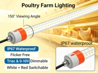 Éclairage pour poulailler, LED T8 4 pieds 18W IP67 sans scintillement, gradation 0-100%, rouge + blanc 2700K-6500K