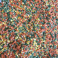 Assortiment de légumes en vrac de haute qualité, riche en fruits de mer et légumes variés, séchés et cuits scientifiquement transformés