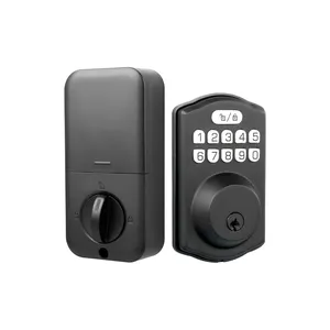 Hiện đại điện tử deadbolt vân tay kỹ thuật số Kẽm hợp kim thông minh Keyless Ổ khóa cửa