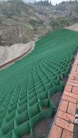 Настраиваемые геоячейки из HDPE для подпорных стен |   Множество спецификаций: высота, расстояние между сварными швами, цвет по запросу.