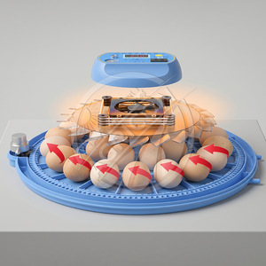 Mini Home <strong>Egg</strong> Incubator with Smart Temperature Control and Automatic <strong>Egg</strong> Turning for Poultry Hatching - Product Image 5