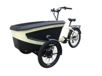 Tricycle électrique ANANDA M81 Ebike 250 Watt à pneus larges, moteur central Bosch, vélo cargo, vélo à glace à vendre