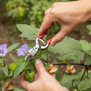 Attrezzi <span class=keywords><strong>da</strong></span> Giardino Esschert Design, Competitivi in Termini di Prezzo, Taglia S, Manico in Ferro Rosso, Forbici <span class=keywords><strong>da</strong></span> <span class=keywords><strong>Potatura</strong></span>, Pala, Forcone con Foro per Appendere - Product Image 1