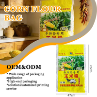 Sac tissé en PP laminé BOPP de 25 kg, qualité alimentaire, matière vierge, protection UV, pour farine de maïs, semences, céréales, sac robuste