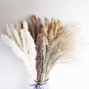 Ramo decorativo de hierba de <span class=keywords><strong>Pampa</strong></span> seca Natural recogido a mano para fiesta de boda en casa-para Navidad Pascua Halloween cuidadosamente - Product Image 1